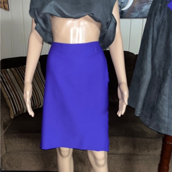 Dianaira • Size 12 • 4 Piece Outfit • Blazer/Blouse/Pants/Skirt • Purple/Gray - Picture 15 of 16